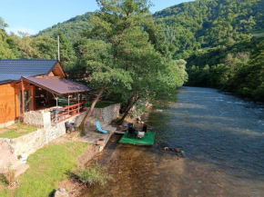 Cottage Auto Camp Vinac